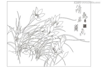 清氣若蘭香 蘭花