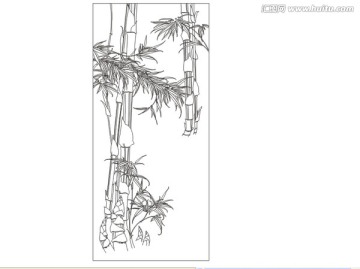 金絲竹竹子