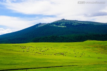 草原风光