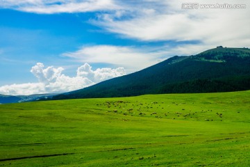 草原风光