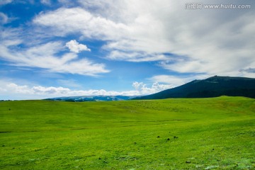 草原风光