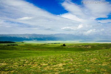 草原风光