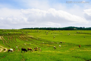 草原风光