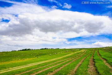 草原风光