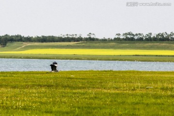 张家口沽源天鹅湖风景区