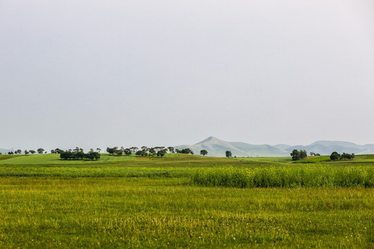 张家口沽源天鹅湖风景区