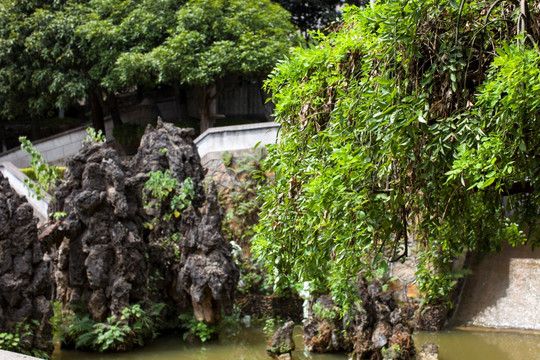 韶山风景