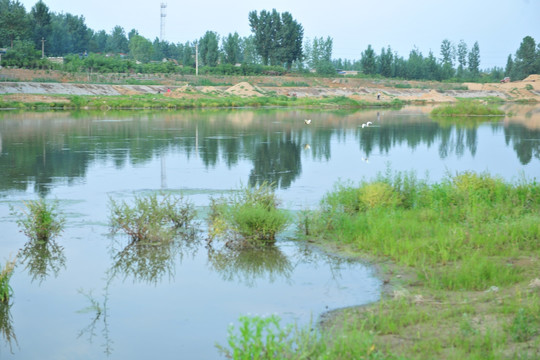 河岸风景