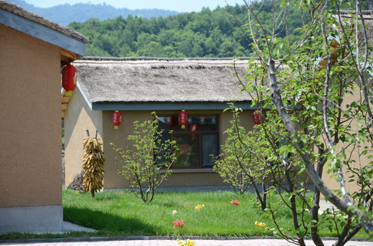 东北农村建筑