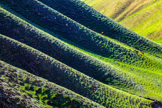 春季天山山脉