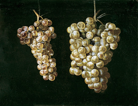 葡萄水果油画