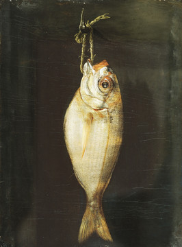 魚 動(dòng)物油畫