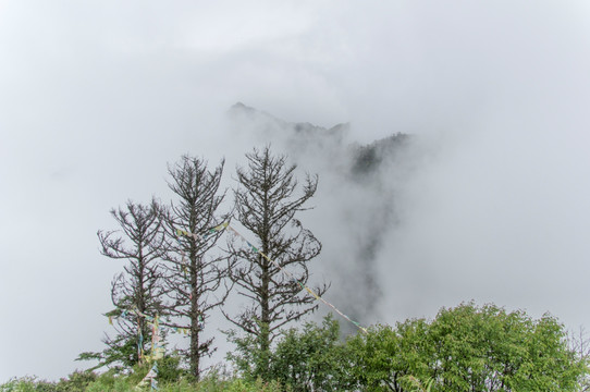 九峰山