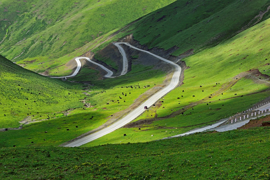 川藏线 高原公路