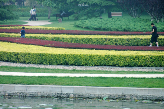 红领巾公园花坛