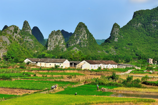 山水田园