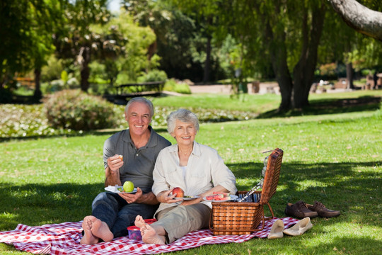 在花园草地野餐的老年夫妇