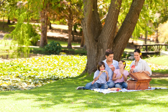 在公园里野餐的幸福家庭