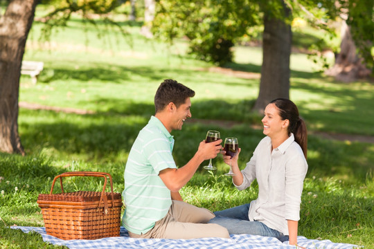 公园里野餐喝红酒的情侣