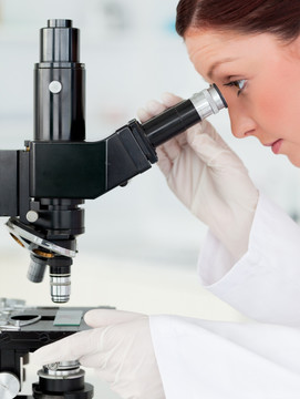 科学家通过显微镜观察