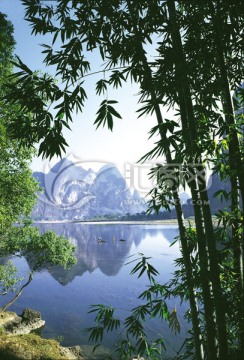桂林山水 竹林