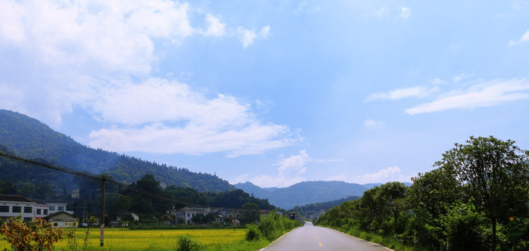 远山 村庄 稻田