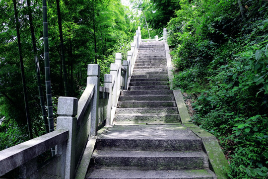 登山路 步步高