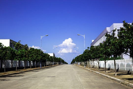 道路景观