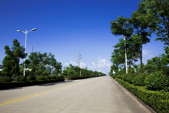 道路景观