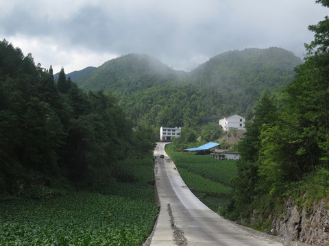 乡村公路