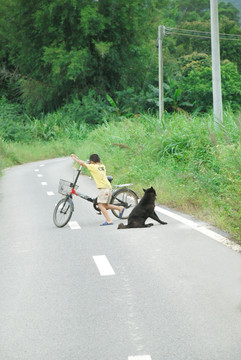 小孩与狗