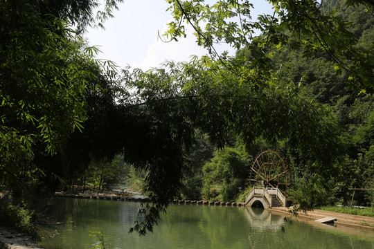 園林景觀