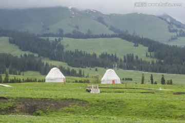 高山草原