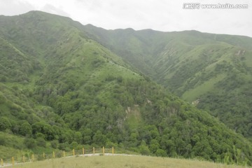 高山草原