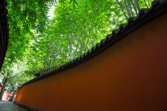 成都武侯祠 竹林红墙弯曲走道