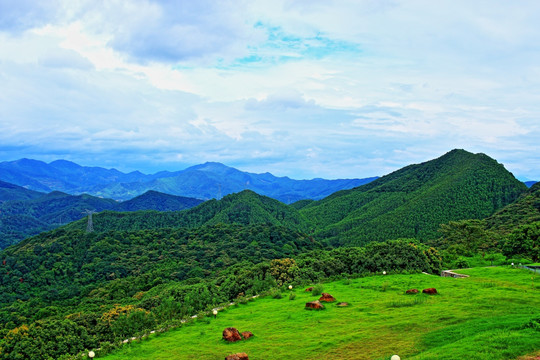 高山风景