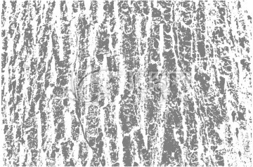 树皮纹路