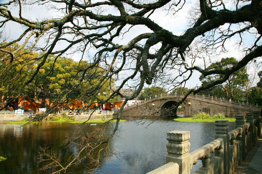 普陀山风景