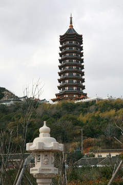 普陀山风景