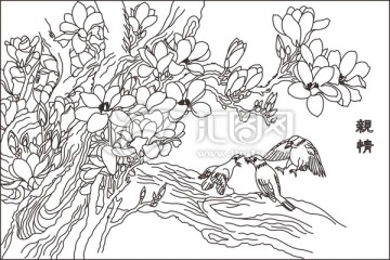 親情玉蘭小鳥