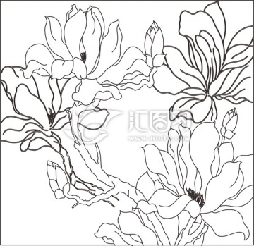 玉蘭花