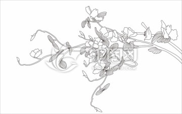 紫荊花小鳥(niǎo)
