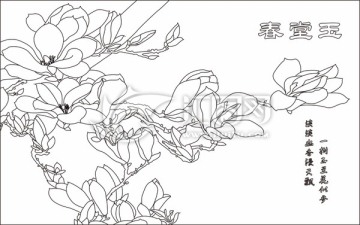玉堂春玉蘭