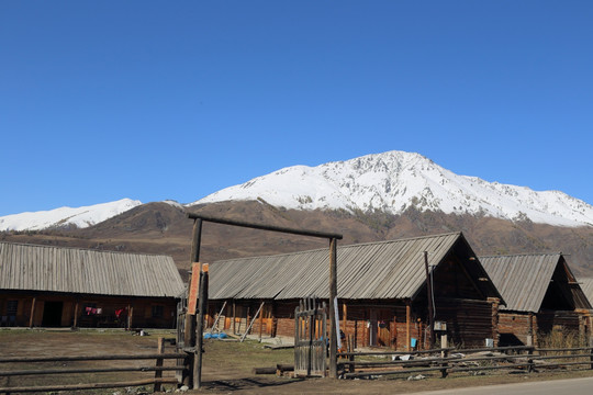 新疆禾木村农舍雪山