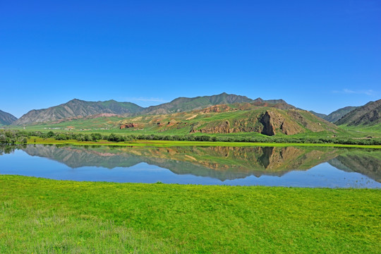 夏河 桑科湿地公园