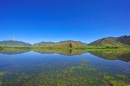 夏河桑科湿地公园