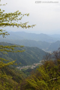 远山和黄叶