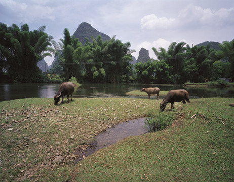 广西桂林景区