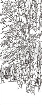 財富森林