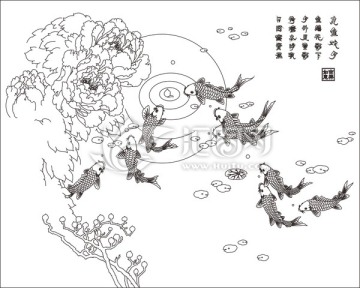 九魚戲月牡丹魚